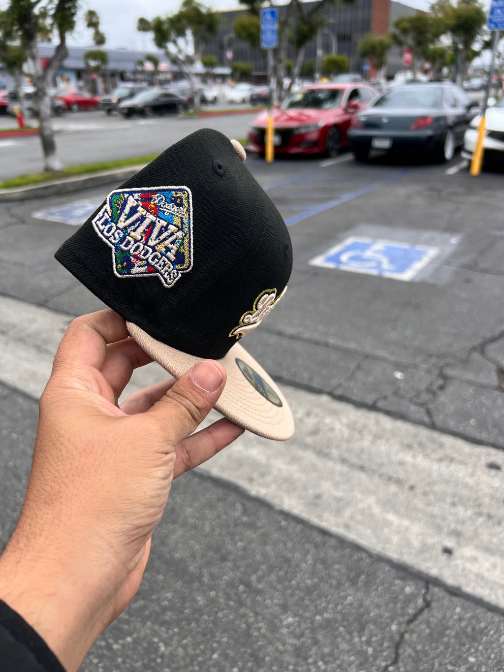 Los Angeles Dodgers Black / Camel Viva Script